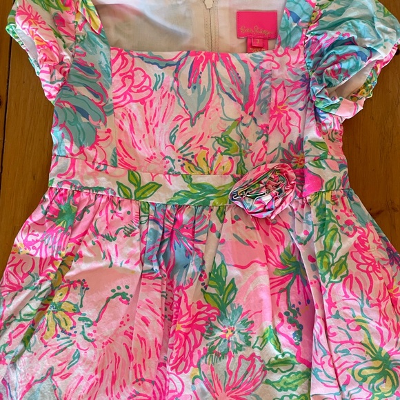 Adorable Lilly Pulitzer Dress - Picture 3 of 5